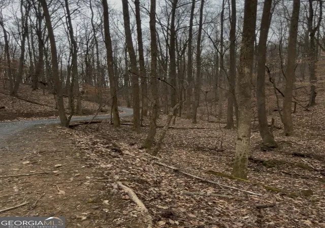 12th image of 0 Sutton Rd, Talking Rock, GA 30175 | MLS# 10633249