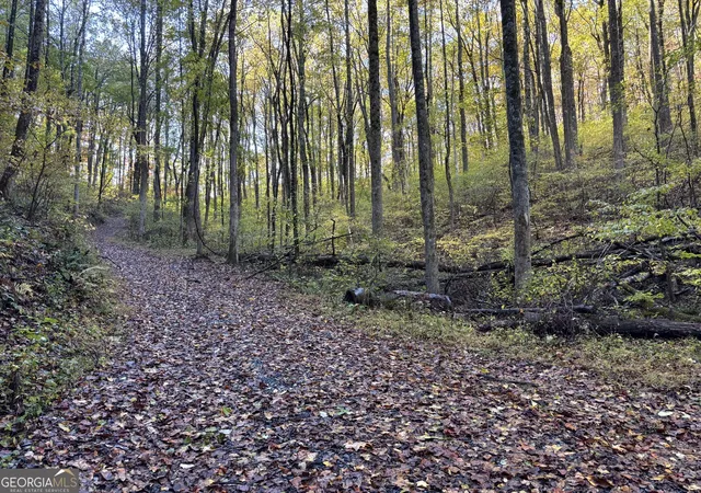 1st image of 0 Sutton Rd, Talking Rock, GA 30175 | MLS# 10633249