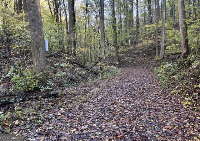 2nd image of 0 Sutton Rd, Talking Rock, GA 30175 | MLS# 10633249