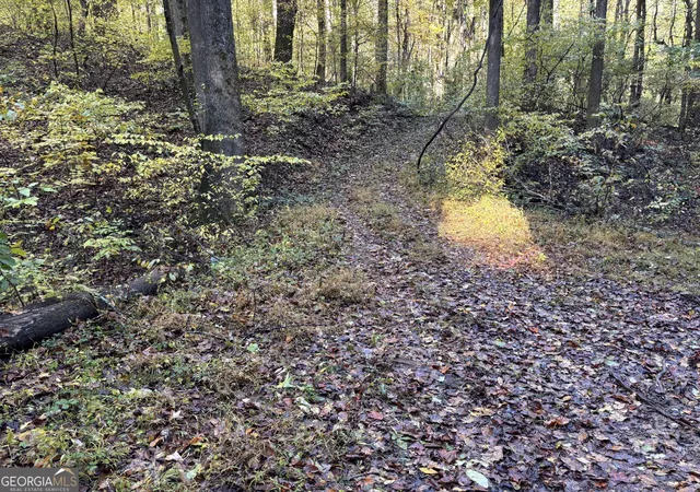 Photo 3 of Land for sale at 0 Sutton Rd, Talking Rock, GA 30175 | MLS# 10633249 | Listing updated on 2026-06-22