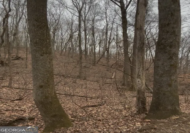 Photo 3 of Land for sale at 0 Sutton Rd, Talking Rock, GA 30175 | MLS# 10633249 | Listing updated on 2026-06-22