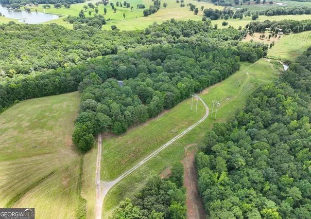102nd image of 350 E Harp Rd, Thomaston, GA 30286 | MLS# 10823031