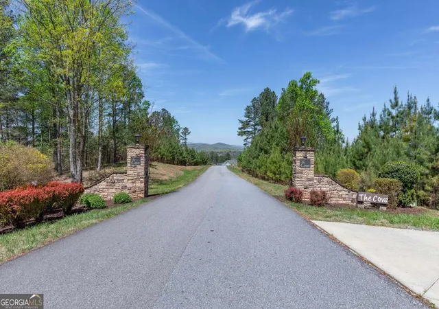 4th image of Lot 253 The Cove @ 1300, Blairsville, GA 30512 | MLS# 10734251