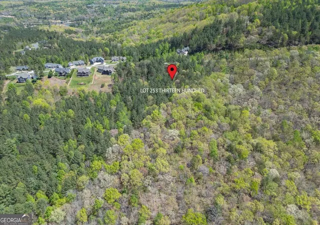 55th image of Lot 253 The Cove @ 1300, Blairsville, GA 30512 | MLS# 10734251