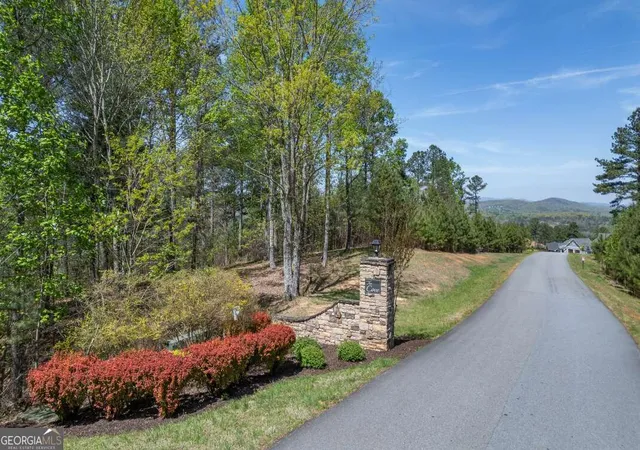 5th image of Lot 253 The Cove @ 1300, Blairsville, GA 30512 | MLS# 10734251