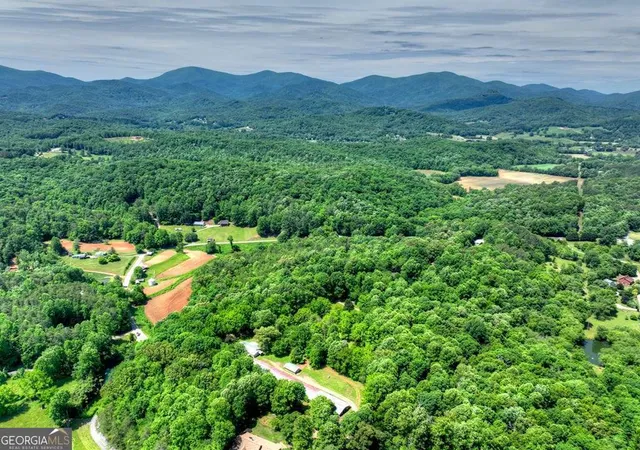 49th image of 93 Collins Nursery Ln, Blairsville, GA 30512 | MLS# 10775974