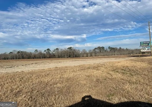 Photo 3 of Land for sale at 00 S Hwy 301, Register, GA 30452 | MLS# 20169649 | Listing updated on 2026-07-22