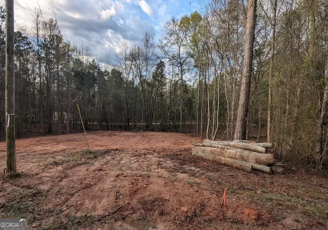 3rd image of 0 Peggy Ln, Hartwell, GA 30643 | MLS# 10755749