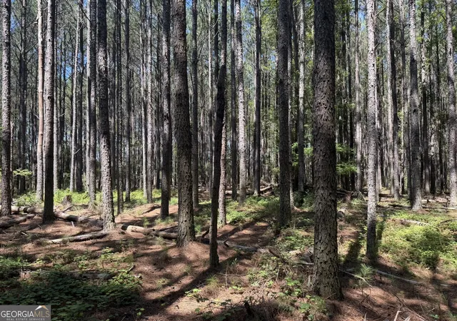 Photo 1 of Land for sale at 0 Hulmes Chapel, Elberton, GA 30635 | MLS# 10812300 | Listing updated on 2026-08-07