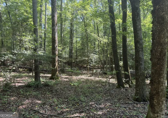 Photo 2 of Land for sale at 0 Hulmes Chapel, Elberton, GA 30635 | MLS# 10812300 | Listing updated on 2026-08-07