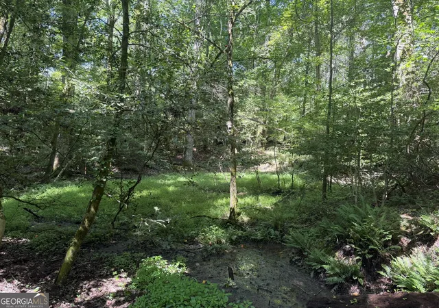 Photo 3 of Land for sale at 0 Hulmes Chapel, Elberton, GA 30635 | MLS# 10812300 | Listing updated on 2026-08-07