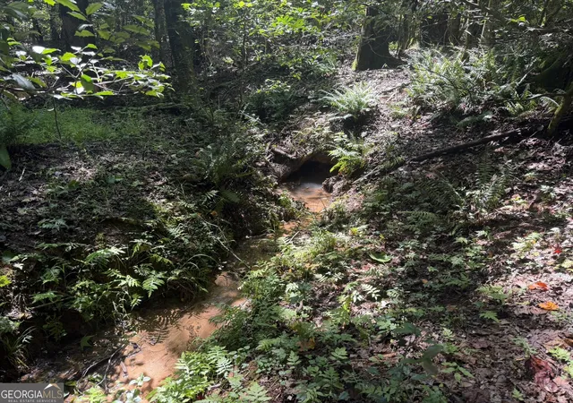 Photo 4 of Land for sale at 0 Hulmes Chapel, Elberton, GA 30635 | MLS# 10812300 | Listing updated on 2026-08-07