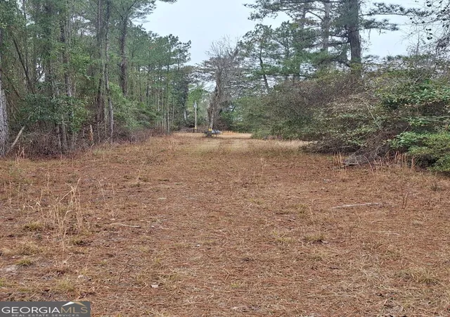 Photo 2 of Land for sale at 2447 Old Hwy 259, Waynesville, GA 31566 | MLS# 10805559 | Listing updated on 2026-07-28