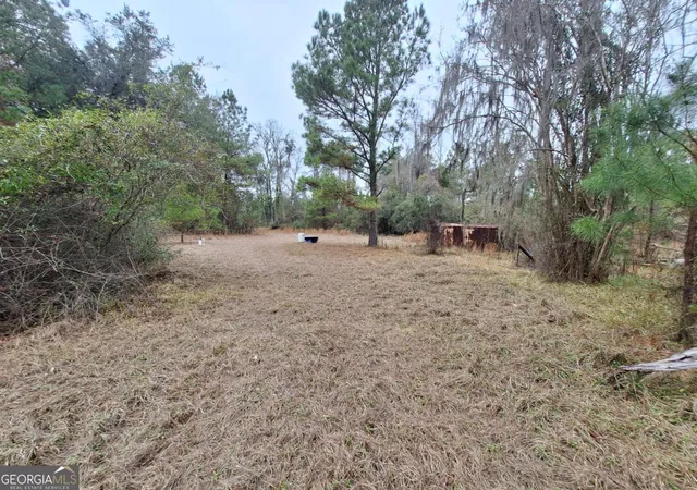 Photo 3 of Land for sale at 2447 Old Hwy 259, Waynesville, GA 31566 | MLS# 10805559 | Listing updated on 2026-07-28