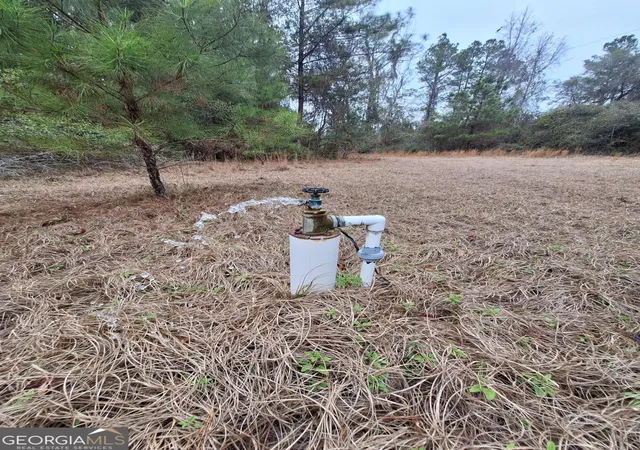 Photo 4 of Land for sale at 2447 Old Hwy 259, Waynesville, GA 31566 | MLS# 10805559 | Listing updated on 2026-07-28
