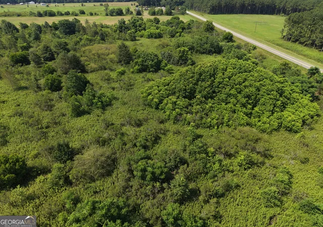Photo 2 of Land for sale at 960 Elko Rd, Unadilla, GA 31091 | MLS# 10802580 | Listing updated on 2026-08-04