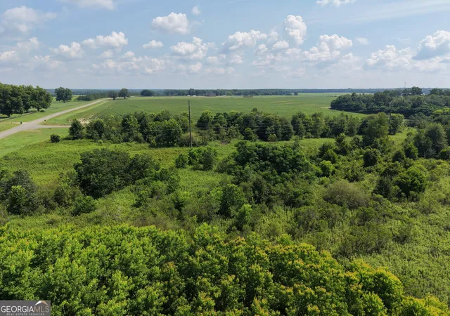 Photo 3 of Land for sale at 960 Elko Rd, Unadilla, GA 31091 | MLS# 10802580 | Listing updated on 2026-08-04