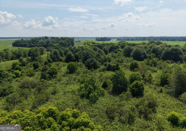 Photo 3 of Land for sale at 960 Elko Rd, Unadilla, GA 31091 | MLS# 10802580 | Listing updated on 2026-08-04