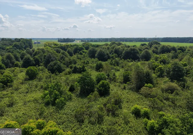 Photo 4 of Land for sale at 960 Elko Rd, Unadilla, GA 31091 | MLS# 10802580 | Listing updated on 2026-08-04