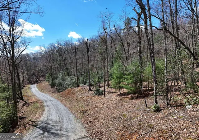 Homes for sale in Blue Ridge, GA | Lot 9 Native Trl, Blue Ridge, GA 30513 | MLS# 10713885