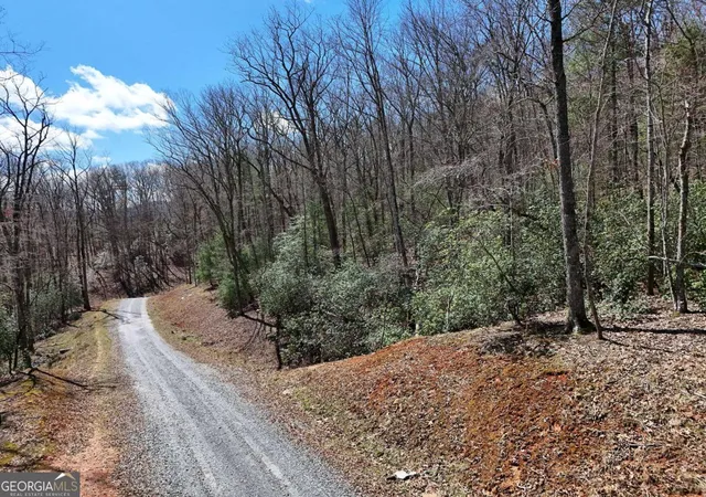 Homes for sale in Blue Ridge, GA | Lot 9 Native Trl, Blue Ridge, GA 30513 | MLS# 10713885