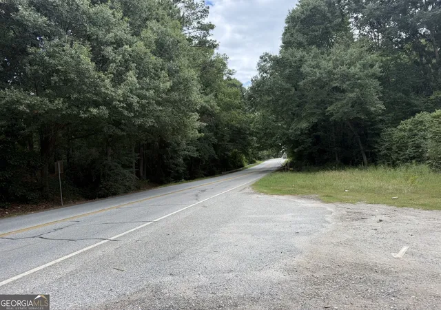 2nd image of Hwy 29, Grantville, GA 30220 | MLS# 10819729