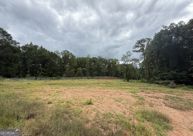 5th image of Hwy 29, Grantville, GA 30220 | MLS# 10819729