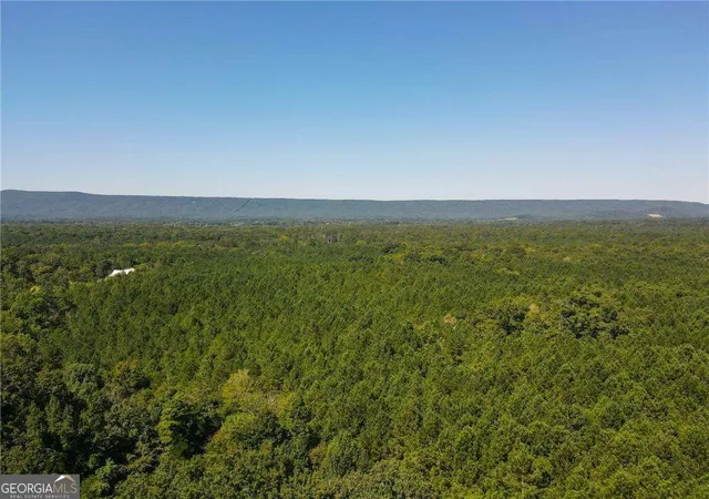 5th image of 00 Resaca Lafayette Rd, Calhoun, GA 30701 | MLS# 10706558