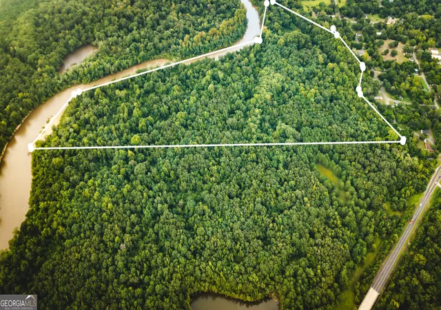 Land for sale at 0 River Rd, Montezuma, GA 31063 | MLS# 10827983