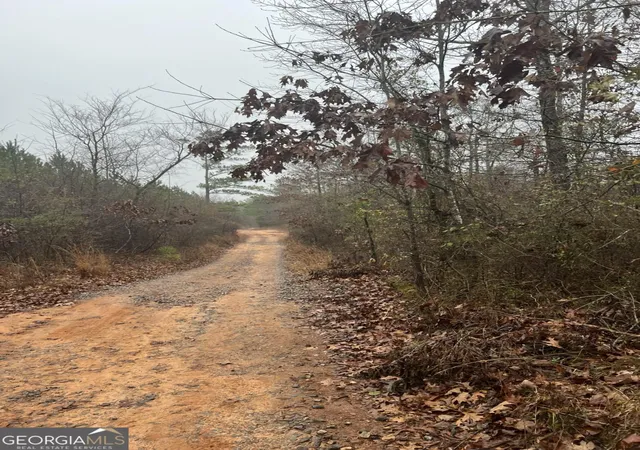 3rd image of 0 Woods Dr Nw, Milledgeville, GA 31061 | MLS# 10811213