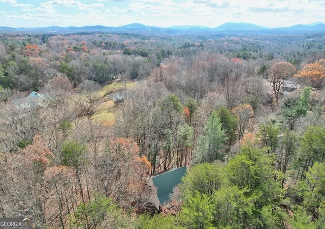 Homes for sale in Cleveland, GA | 1210 Hwy 75 Alt, Cleveland, GA 30528 | MLS# 10772506
