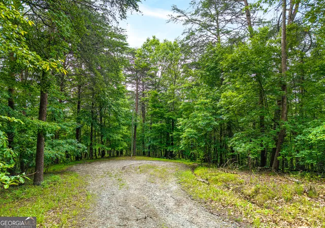 Homes for sale in Ranger, GA | 1332 Birch Ln Ne, Ranger, GA 30734 | MLS# 10775909