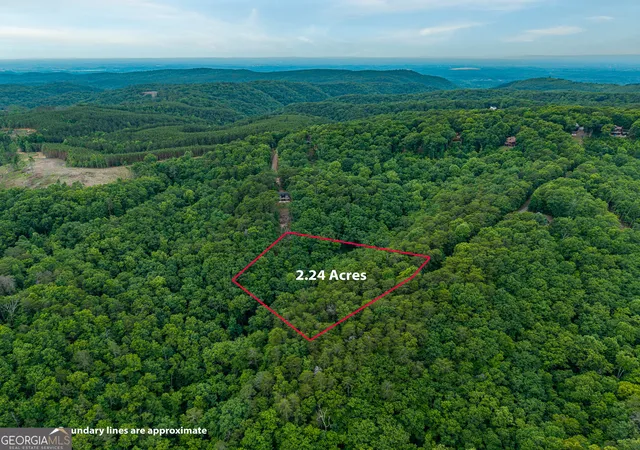 Homes for sale in Ranger, GA | 1332 Birch Ln Ne, Ranger, GA 30734 | MLS# 10775909