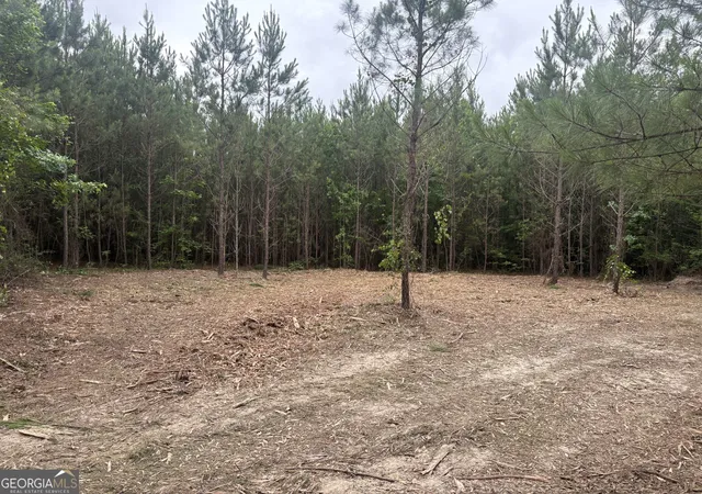 Homes for sale in Sandersville, GA | L4 Prosser Rd, Sandersville, GA 31082 | MLS# 10784534