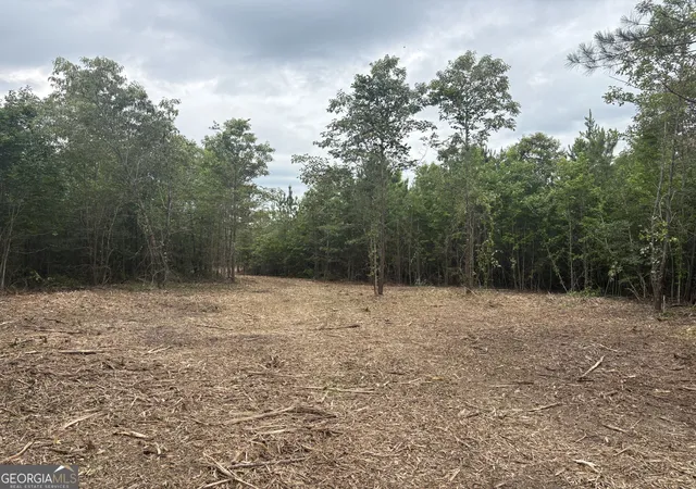 Homes for sale in Sandersville, GA | L4 Prosser Rd, Sandersville, GA 31082 | MLS# 10784534