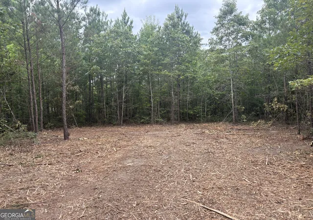 Homes for sale in Sandersville, GA | L4 Prosser Rd, Sandersville, GA 31082 | MLS# 10784534
