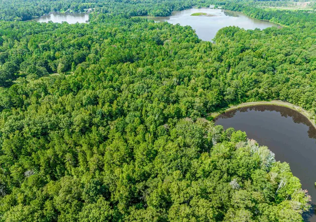 Photo 3 of Land for sale at 0 Phillips Rd, Eatonton, GA 31024 | MLS# 10307410 | Listing updated on 2026-08-27