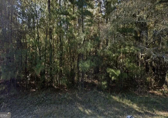 Photo 1 of Land for sale at 3069 Hamlin Rd, Lizella, GA 31052 | MLS# 10811909 | Listing updated on 2026-08-07