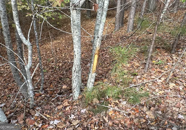 3rd image of 1806 Browning Rd, Rockmart, GA 30153 | MLS# 10806110