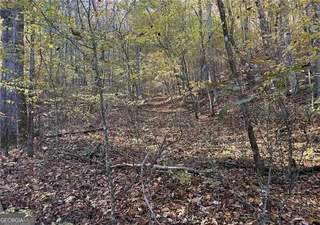 13th image of 0 Ov Justus Rd, Rabun Gap, GA 30568 | MLS# 10504068