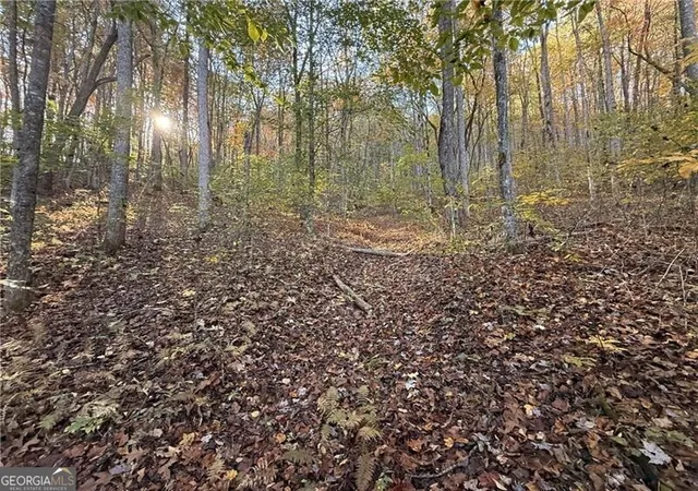 2nd image of 0 Ov Justus Rd, Rabun Gap, GA 30568 | MLS# 10504068