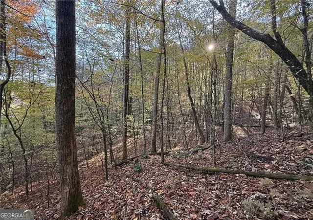 3rd image of 0 Ov Justus Rd, Rabun Gap, GA 30568 | MLS# 10504068