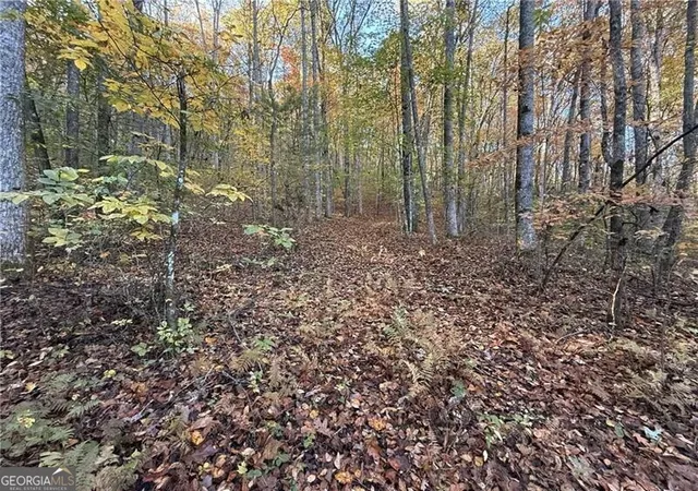 4th image of 0 Ov Justus Rd, Rabun Gap, GA 30568 | MLS# 10504068