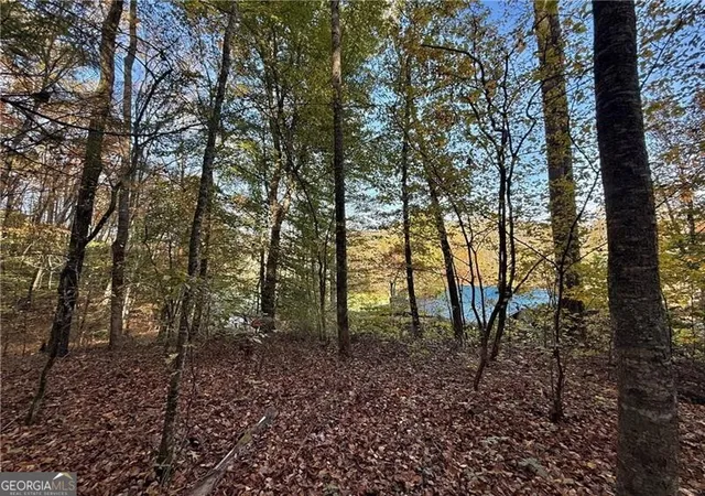 5th image of 0 Ov Justus Rd, Rabun Gap, GA 30568 | MLS# 10504068