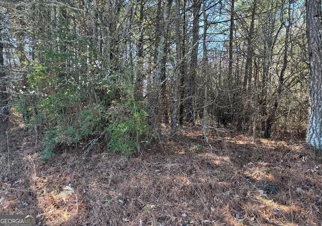 2nd image of 2515 Eastgate Pl, Snellville, GA 30078 | MLS# 10697129