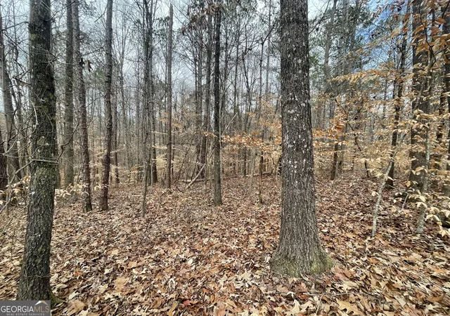 Homes for sale in Franklin, GA | 0 Us Hwy 100, Franklin, GA 30217 | MLS# 10775553