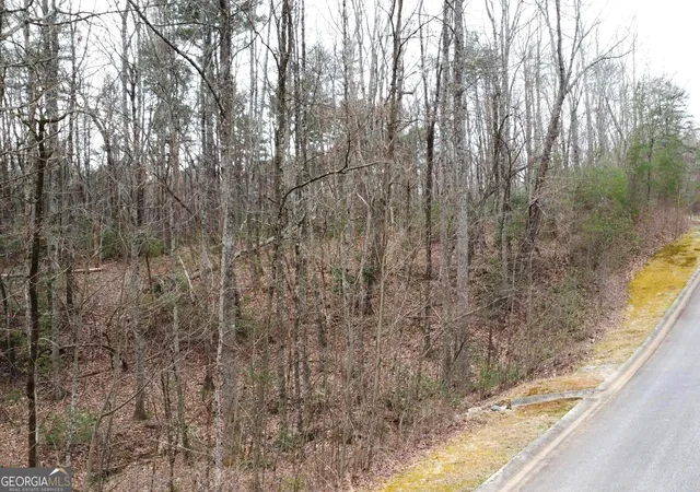 Homes for sale in Clarkesville, GA | Lot 1446 Glazenwood Dr, Clarkesville, GA 30523 | MLS# 10794938