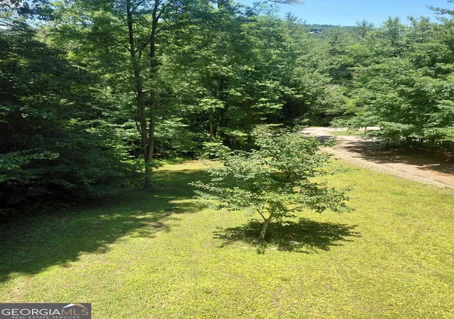 4th image of 158 Earney Rd, Blairsville, GA 30512 | MLS# 10790071