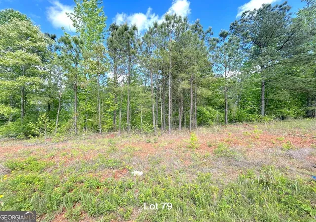 1st image of 190 Oakdale Wy, Temple, GA 30179 | MLS# 10815767
