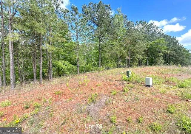 Photo 3 of Land for sale at 190 Oakdale Way, Temple, GA 30179 | MLS# 10815767 | Listing updated on 2026-09-17
